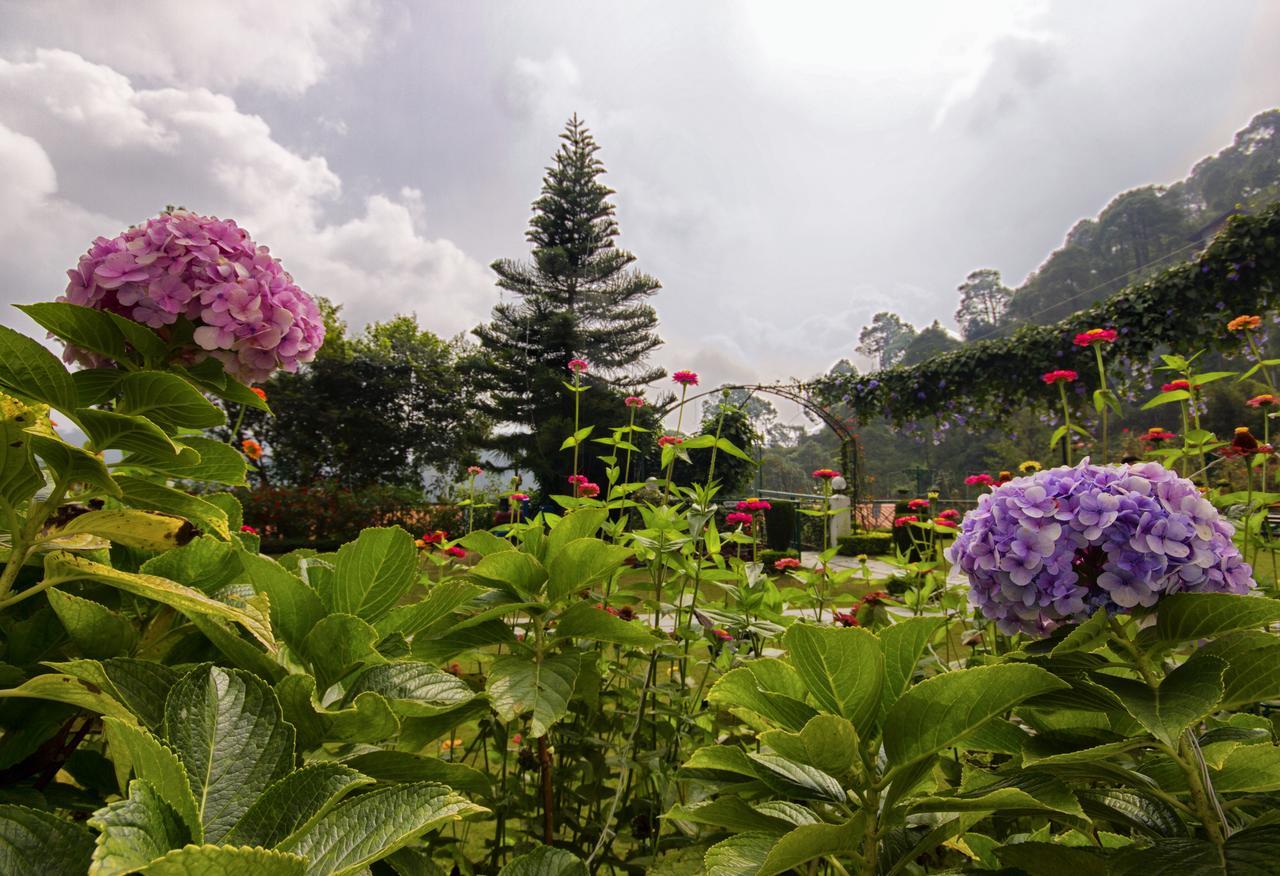 Kasauli Resort By Piccadily Экстерьер фото
